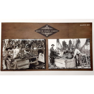 Hops in Otsego County Magnet Set